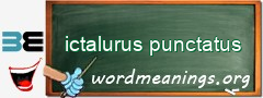 WordMeaning blackboard for ictalurus punctatus